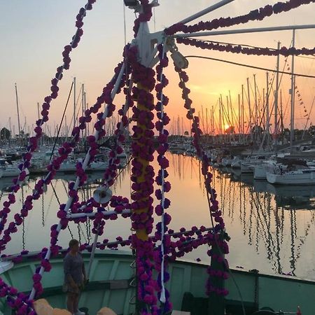Appartamento Le Tricorne Saint-Vaast-la-Hougue Esterno foto